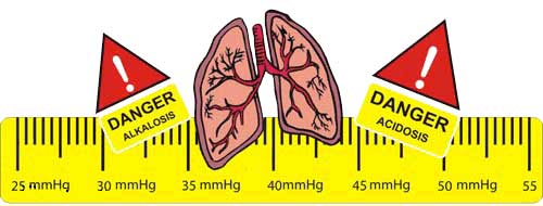 گاز خون شریانی و وریدی، روش تفسیر گازهای خون شریانی ph2