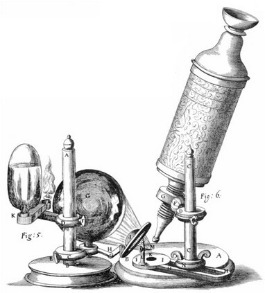 میکروسکوپ: تاریخچه میکروسکوپ (روبرت هوک)